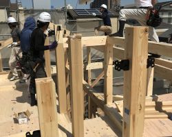 2019.5.24 建て方