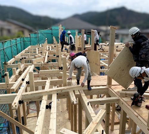 2025.6.12 建て方